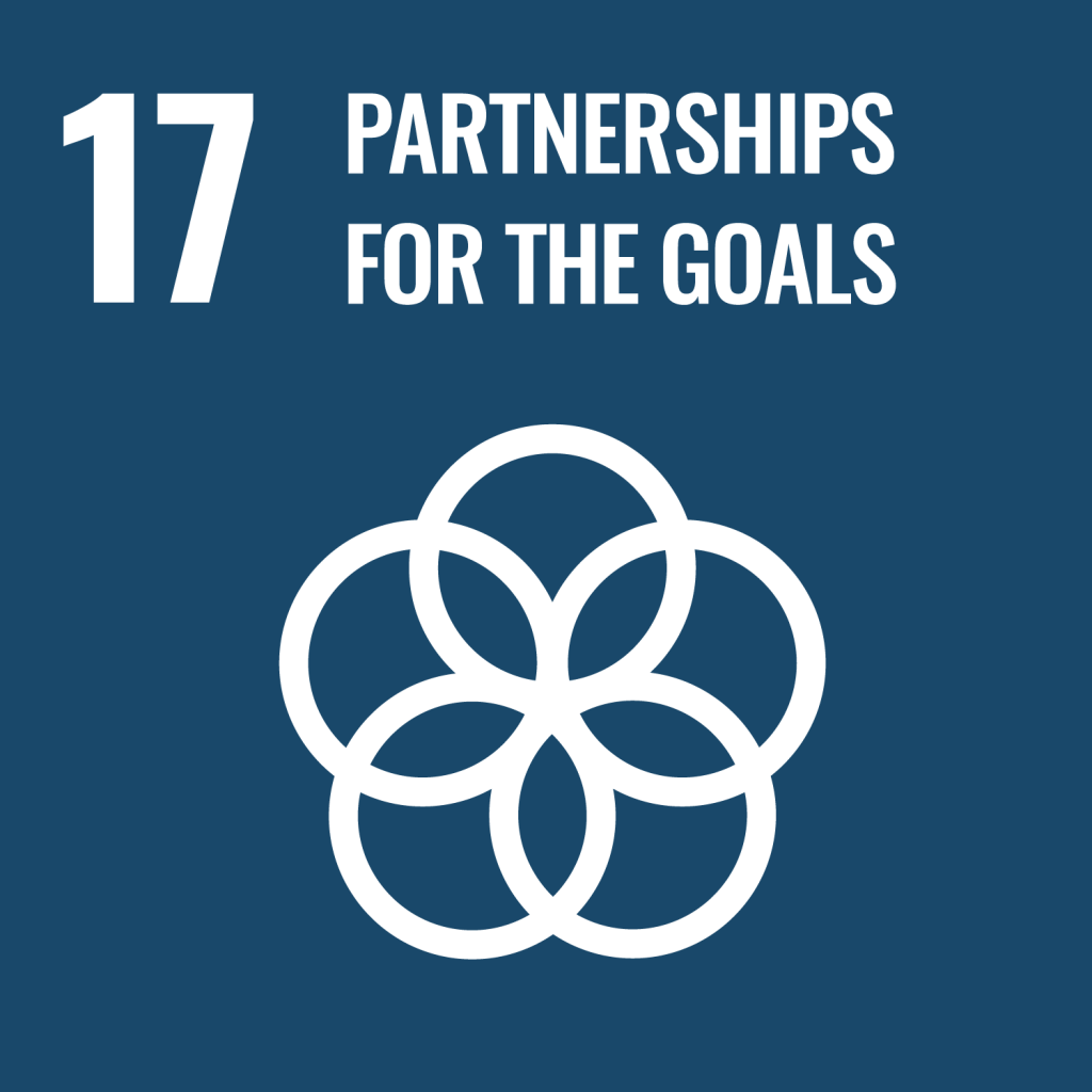 Logo SDG 17